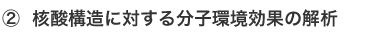 ② 核酸構造に対する分子環境効果の解析