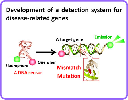 Development of a detection system for disease-related genes