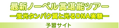 最新ノーベル賞堪能ツアー —蛍光タンパク質と光るＤＮＡ実験—