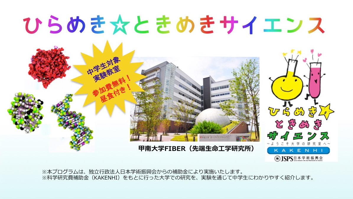 甲南大学 先端生命工学研究所 FIBER 実験教室参加者募集(中学生対象)参加費無料 昼食付き ※本プログラムは、独立行政法人日本学術振興会からの補助金により実施いたします。 ※科学研究費補助金(KAKENHI)をもとに行った大学での研究を、実験を通じて中学生にわかりやすく紹介します。