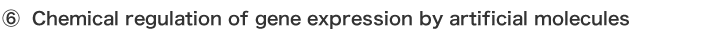 ⑥ Chemical regulation of gene expression by artificial molecules